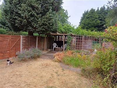 Picture 19